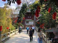 -国恩寺