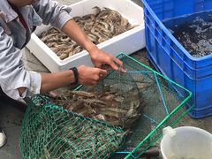 -青石桥市场北1-27号