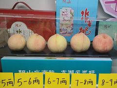 -老袁家蜜桃农场·阳山水蜜桃