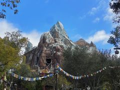 -奥兰多迪士尼动物王国乐园