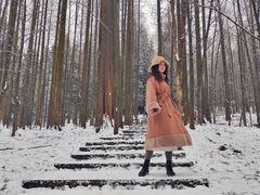 -武陵山森林公园