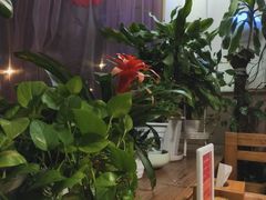 露天位-云之南(八里庄店)