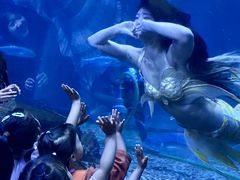 -华夏文旅海洋公园