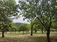 -青州市云门山风景区