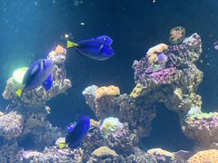 -海合安天津极地海洋公园
