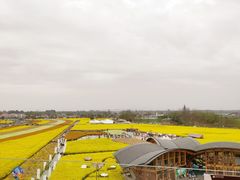 -中国天府农业博览园