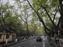-颐和路民国时期公馆风貌区