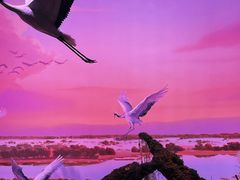 -中国湿地博物馆