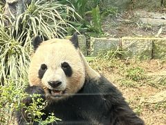 -石排湾郊野公园
