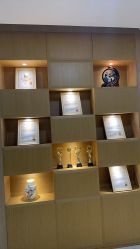 -大麦微针植发丨全国连锁