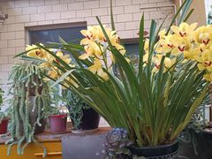 -阳光山水江湖菜馆(西山龙门店)