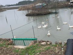 -美家乐农庄·露营·团建(大治路店)