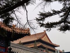 -北京市劳动人民文化宫(太庙)