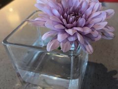 -渡娘火锅(大兴大悦春风里店)