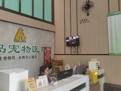-半岛宠物医院24小时(科华中路店)