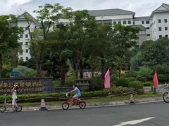-河源万绿湖美思威尔顿酒店