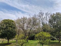 -梁鸿国家湿地公园