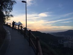 -兰山公园