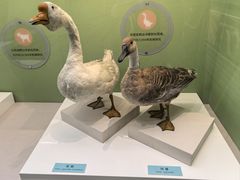 -国家自然博物馆