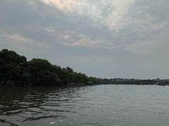-西湖游船