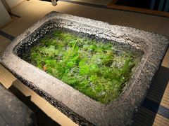 -觀芷隐轩
