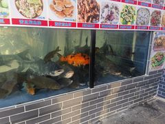 -东胜客河鲜店·西江河鲜·老字號渔家菜