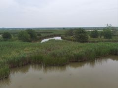 -盐城丹顶鹤湿地生态旅游区