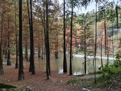 -广州市帽峰山景区