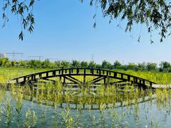 -永定河休闲森林公园