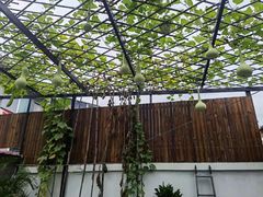 -大海别墅民宿农家院(十渡店)