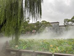 -四川大学(望江校区)