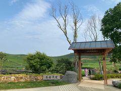 -龙坞茶村