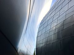 -华特·迪士尼音乐厅