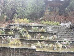 -卡定沟景区