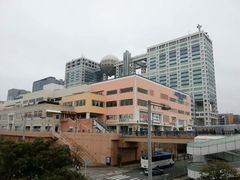 -台场海滨公园船码头