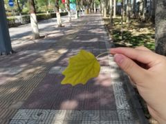 -西宁福茵长乐国际大酒店