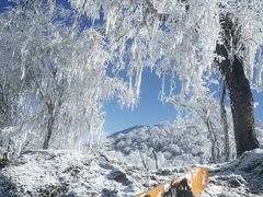 -太子岭滑雪场