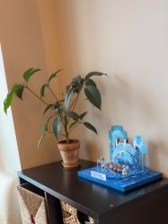 -栖SPA·ONDA ·海菲秀·皑皑科技美肤中心