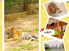 -济南野生动物世界