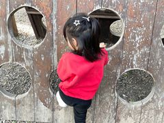 -河北村民俗体验园