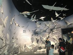 -中国湿地博物馆