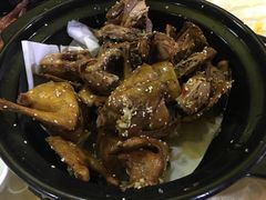 -一煲鸽