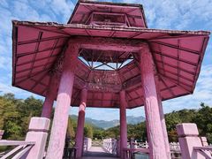 -田野绿世界