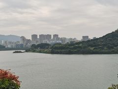 -立新湖公园