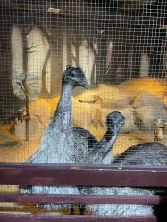 -酷嗒动物文化乐园(cutezoo西溪乐天城店)