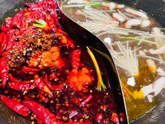 -朱光玉火锅馆(正弘城店)