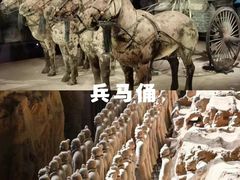 -秦始皇帝陵博物院(兵马俑)