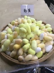 -太湖雪蚕桑文化园