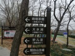 -阳台山自然风景区