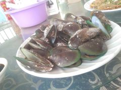 -七鲜渔港美食餐厅(巽寮湾海景店)